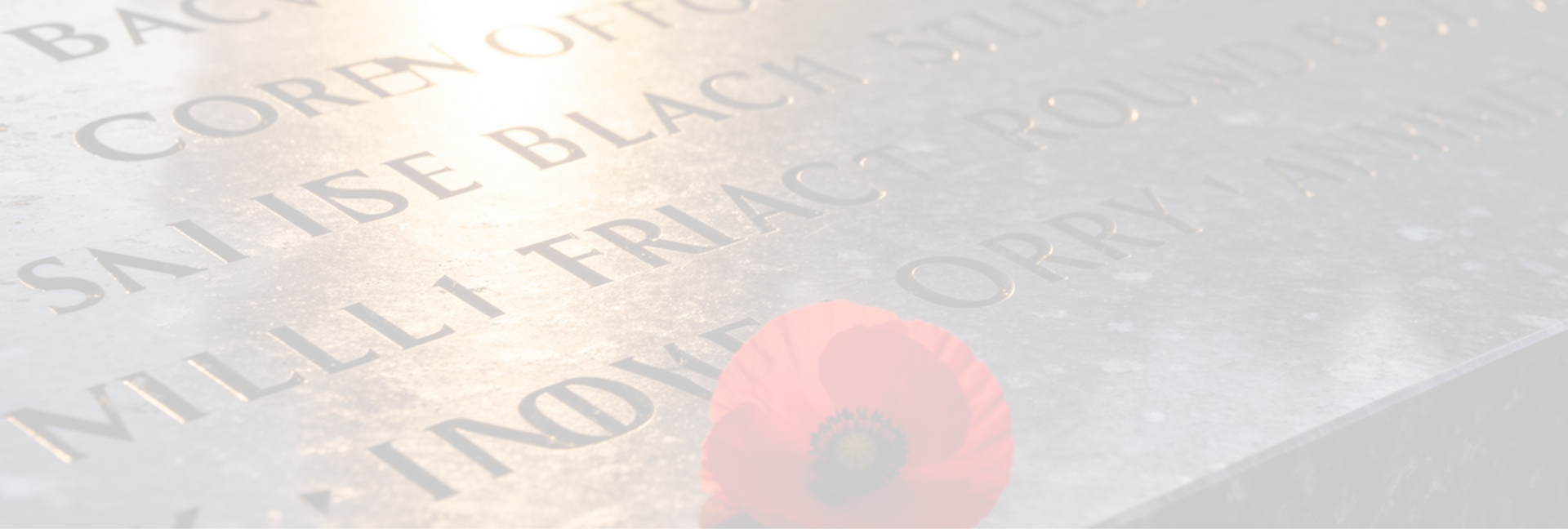 Names engraved in polished granite with a red poppy resting at the memorial.